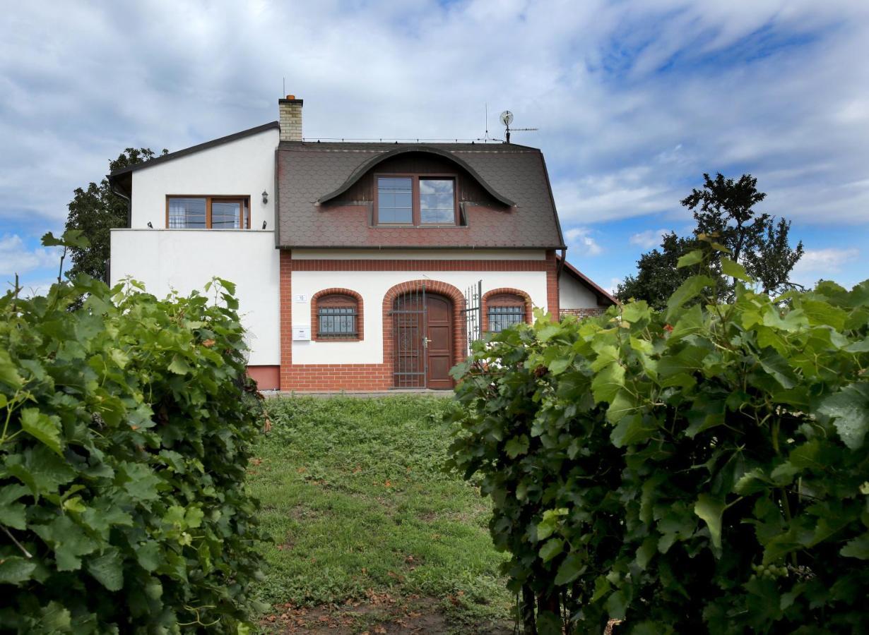 Ubytovani U Vyskocilu Prušánky Exterior foto